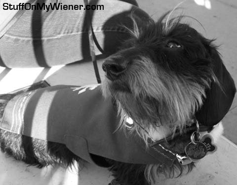 Mac Gyver at Christmas on the Prado.