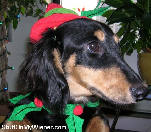 Oscar as an elf.