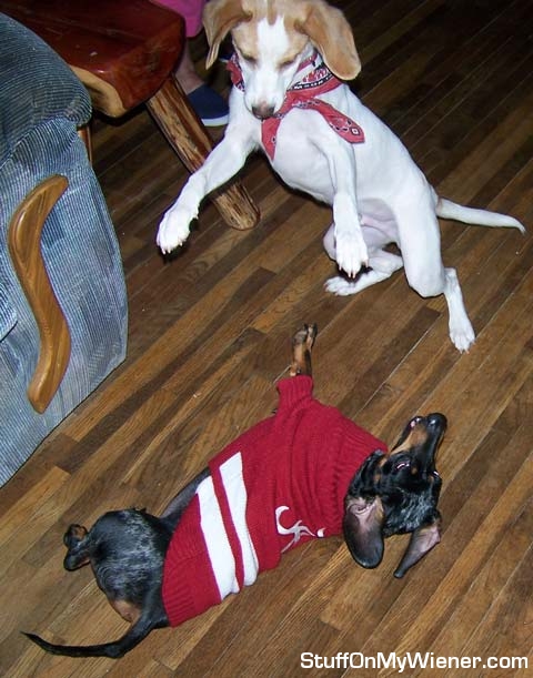 Ozzie and Saban “fighting”.