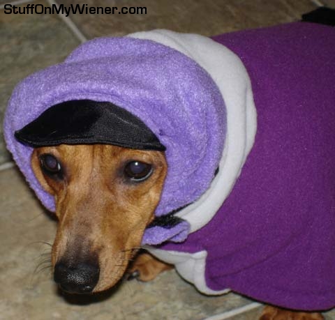 Pebbles bundles up for a winter walk.