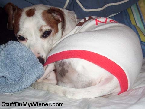 Rosko relaxing after hard day of play.