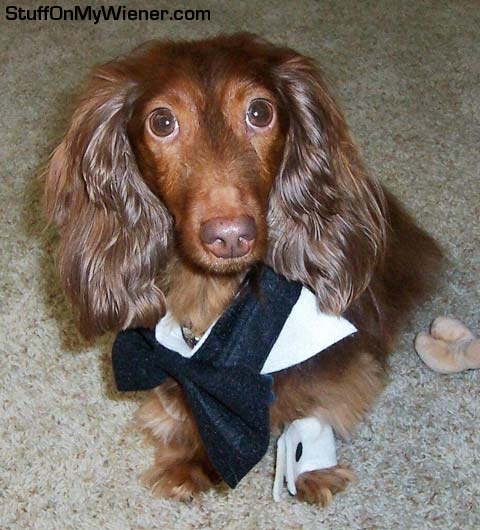 Samy in a tux, complete with cuff links.