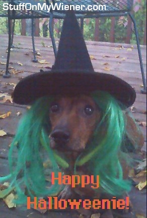 Andy in a witch’s costume.