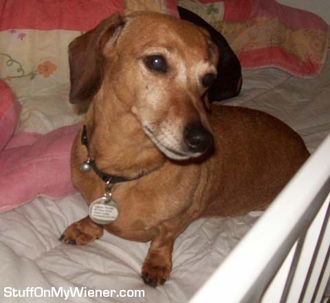 Daphne beats the others to bed.