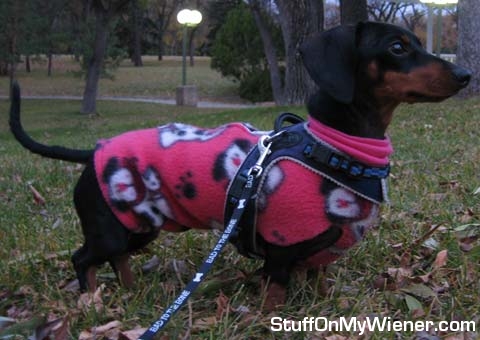 Delilah in a fleece that Grandma made her.
