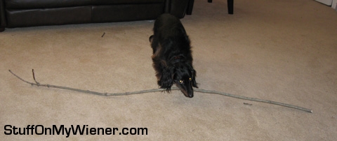 Guinness with a BIG stick.