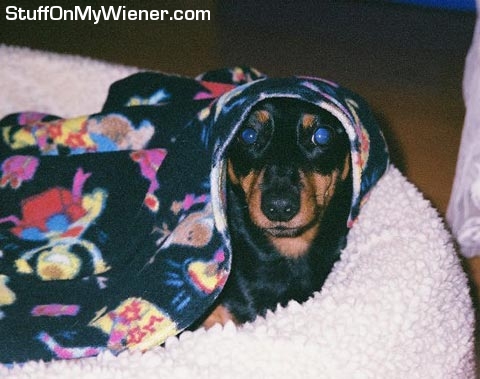 Ms. Roxie Short in bed as a Polish Immigrant.