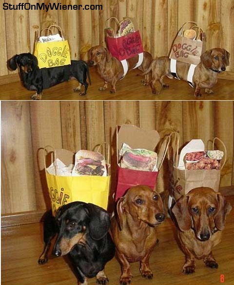 Nancy, Frankie and Joey - doggie bags.