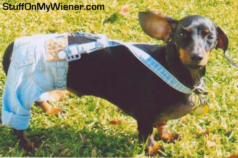 Ricky in a pair of overalls.