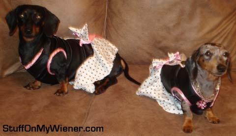 Bailey & Chloe dressed up for Chloe’s b-day party.