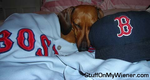 Buster sleeping next to his Red Sox hat and blanket.