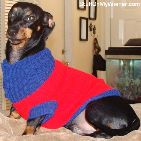 Francis Bean in his sweater.