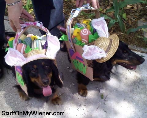 Katie and Brody in Easter costumes.