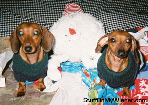 Simone and Tevez with their new snowball friend.