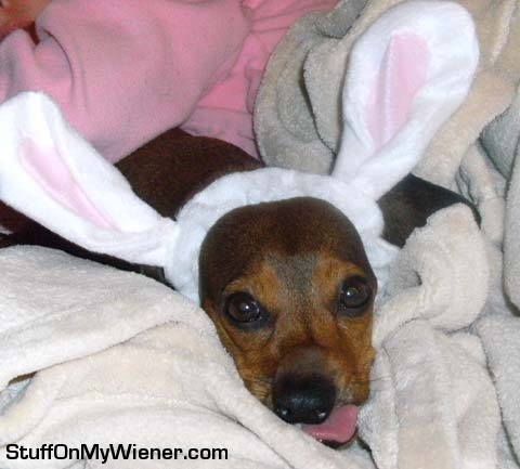 Sophie as the Easter Bunny.