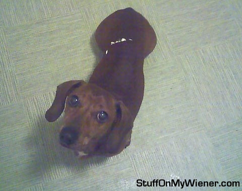 Andy with paint on his back.