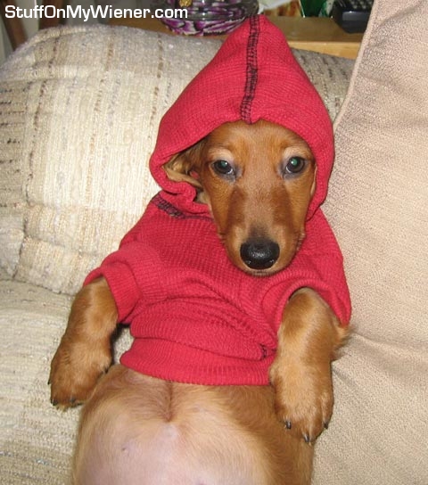 Bella Jane in a hoodie.