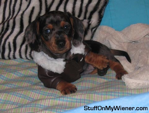Gwendolyn in her flight jacket.