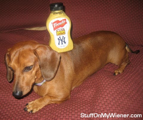 KC with a bottle of mustard on her back.