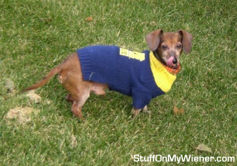 Max in his U Michigan sweater.