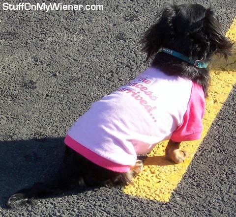 Pipsqueak in princess shirt.