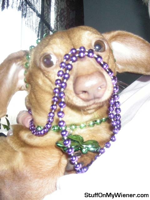 Wiley Wu with St. Patrick’s day beads.