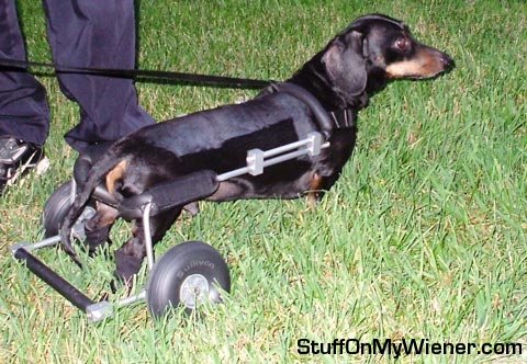 Beemer with his cart.