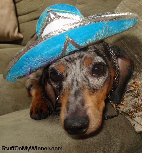 Chloe with a blue sombrero.