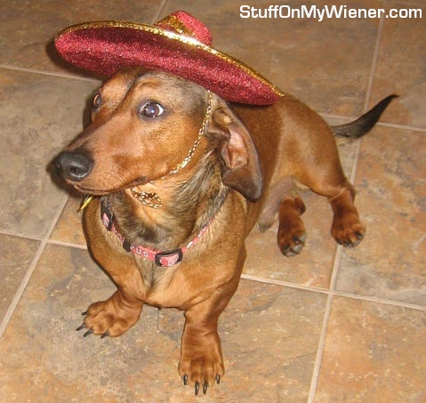 Dominic in his sombrero.