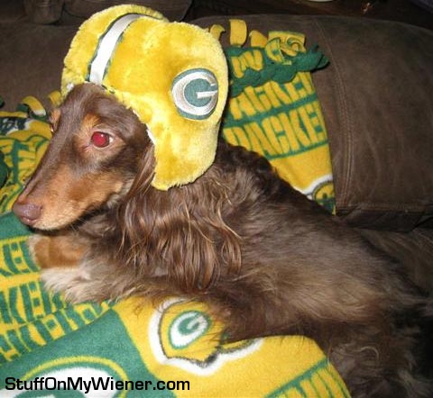 Fezzik with his Packers helmet on.
