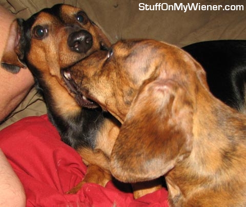 jasper-miracle-mouth