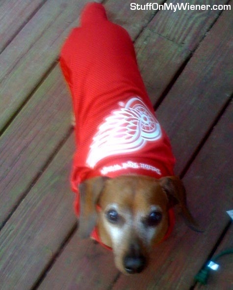 Oscar Mayer in a Red Wings jersey.