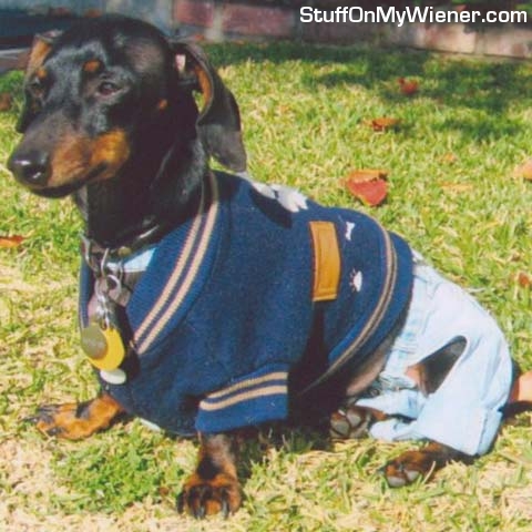 Ricky in his letterman's jacket.