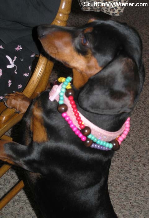 Roxie in her Mardi Gras beads.