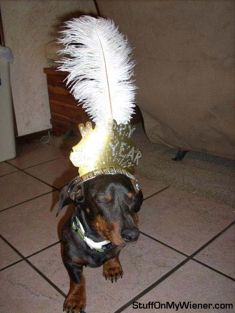 Shooter celebrating new year.