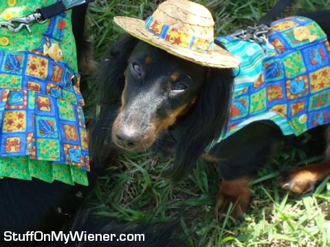 Brody in a straw hat and vest.