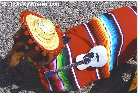 Olver at Cinco de Mayo party.