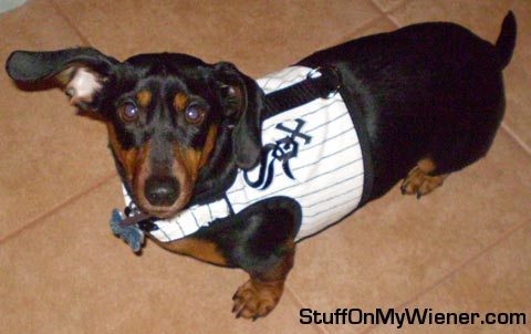 Schultz in White Sox vest.