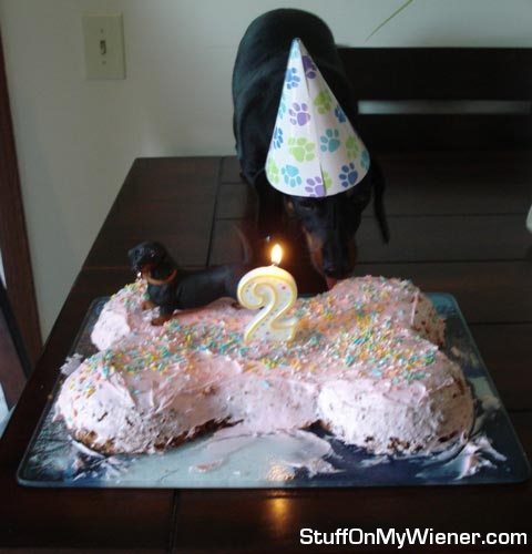 Bailey with her cake.