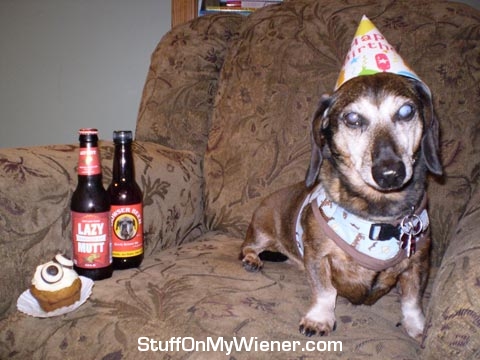 Dino in a party hat.