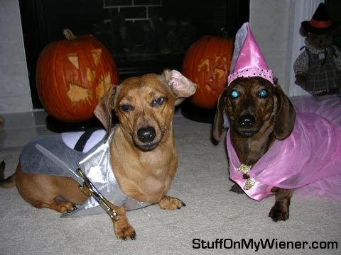 Frankie the Knight and Belle his Princess.