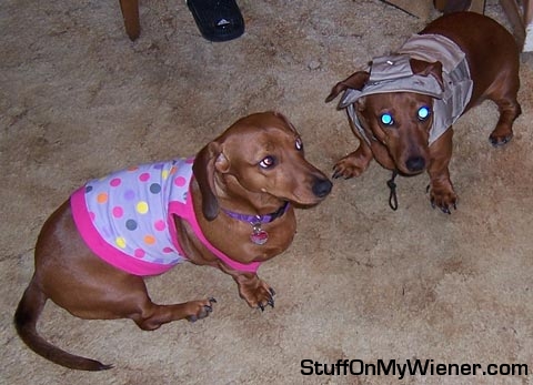 Koko the fisherwoman, Pebbles the diva.