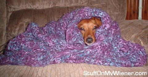 Lexie all wrapped up.