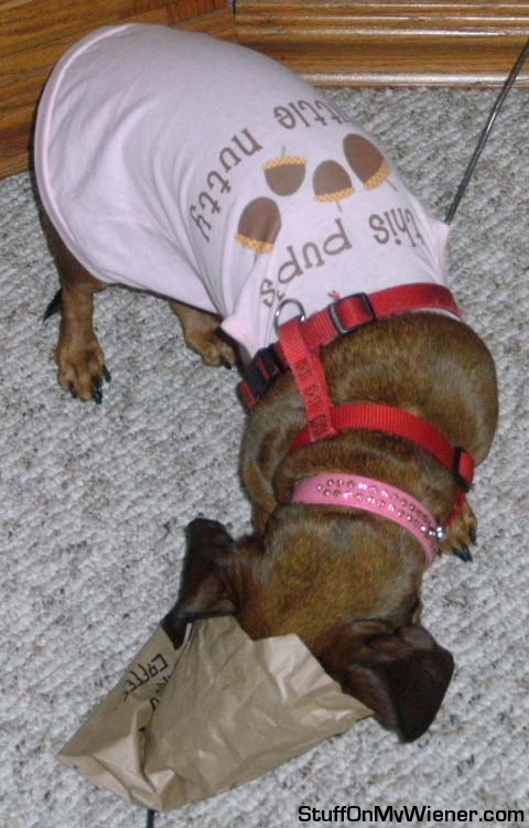 Sophie digging into a bag.