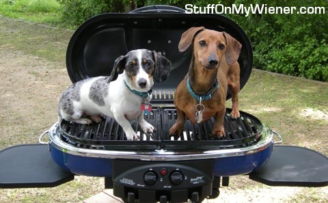 Wally & Kirby on the BBQ.