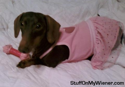 Anya with her matching bone and dress.