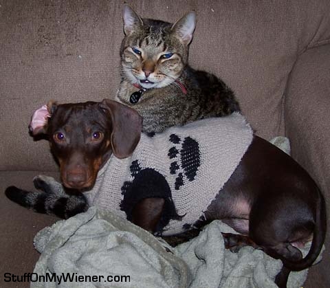 Buster in a sweater, Oz laughing.