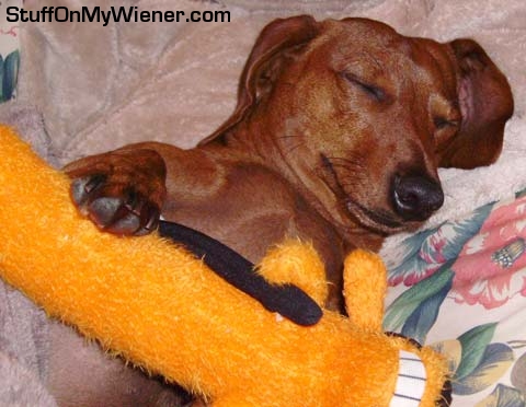 Jerry in bed with a bobo.