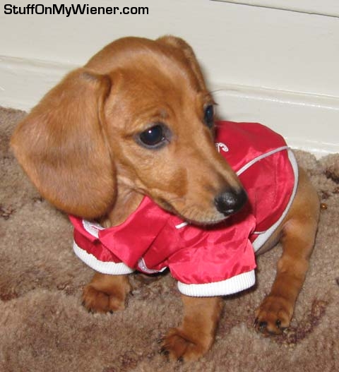 Nadja in her new coat.