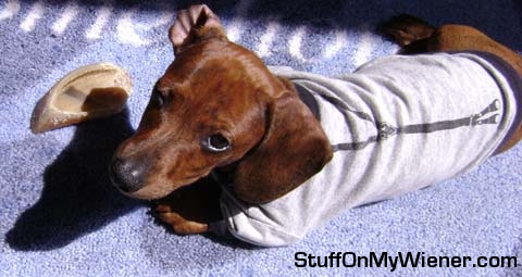 Peanut in suspender shirt winking.